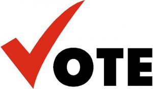 VPN for Voting
