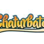 Best VPN for Voting