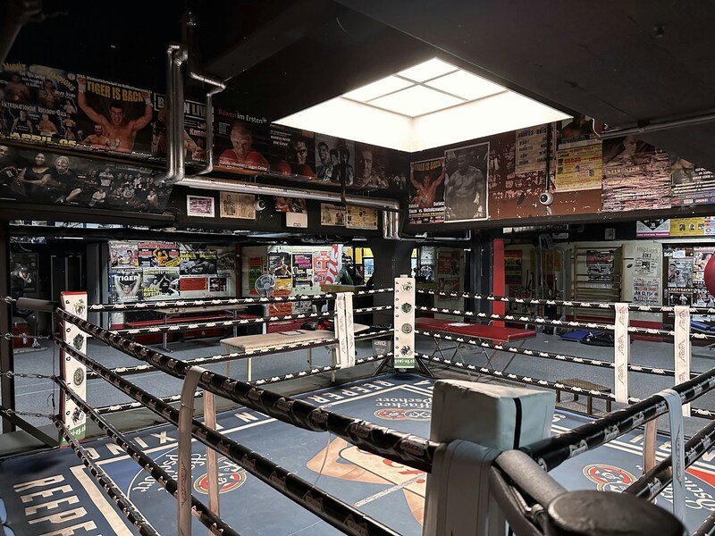 UFC 281